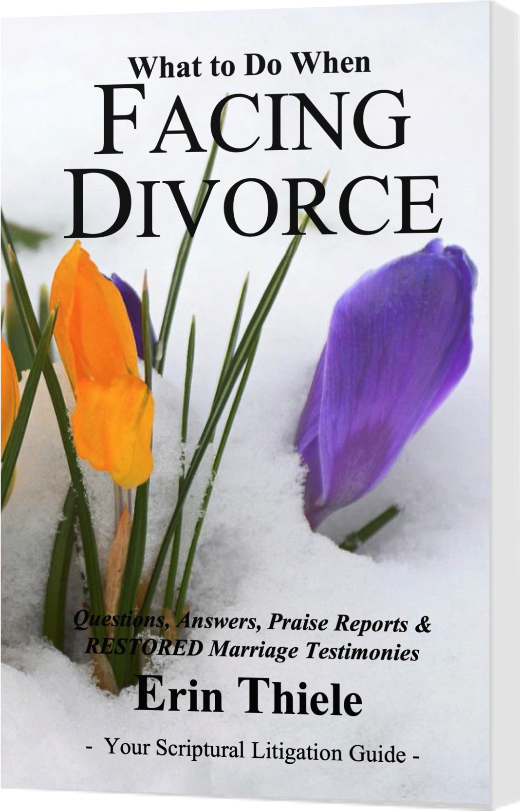 https://hopeatlast.com/c3/facing-divorce-course/

https://encouragingbookstore.com/women-resources/fd/