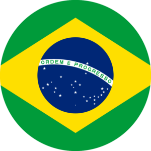 Flag_of_Brazil.svg_-300x300